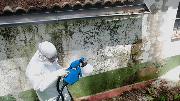 Top rated local Mold Remediation specialists in Rocky Ridge, MD